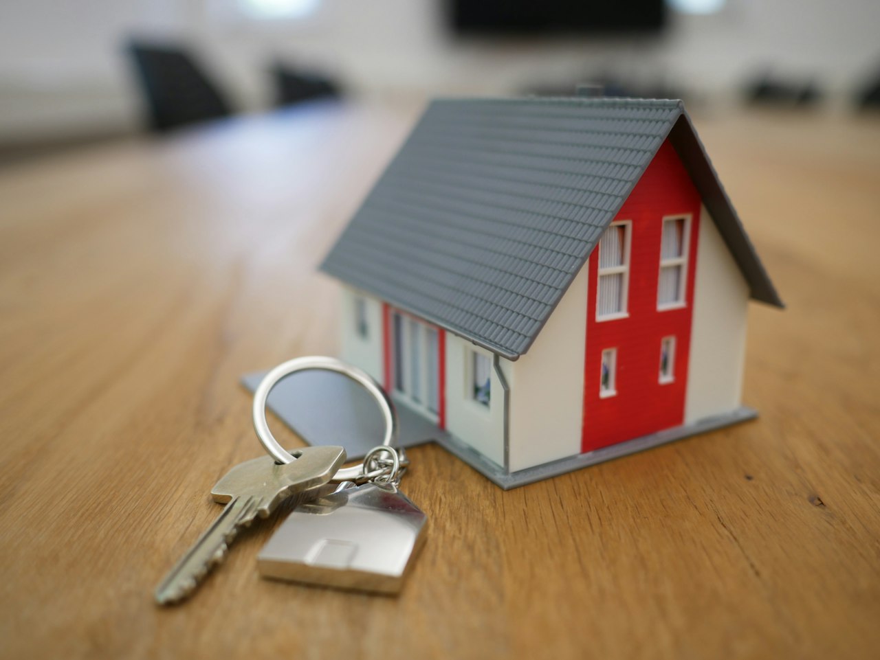 Real estate agent and client